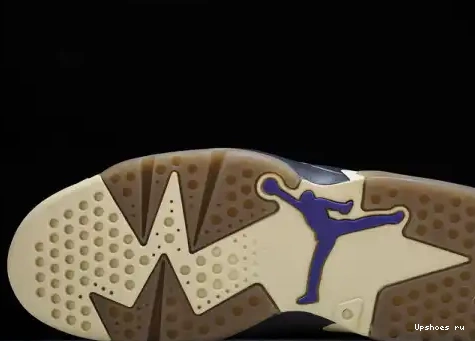 FD1643-300 6 Kelp Retro Jordan  Gore-Tex Brown FD1643-300 0517